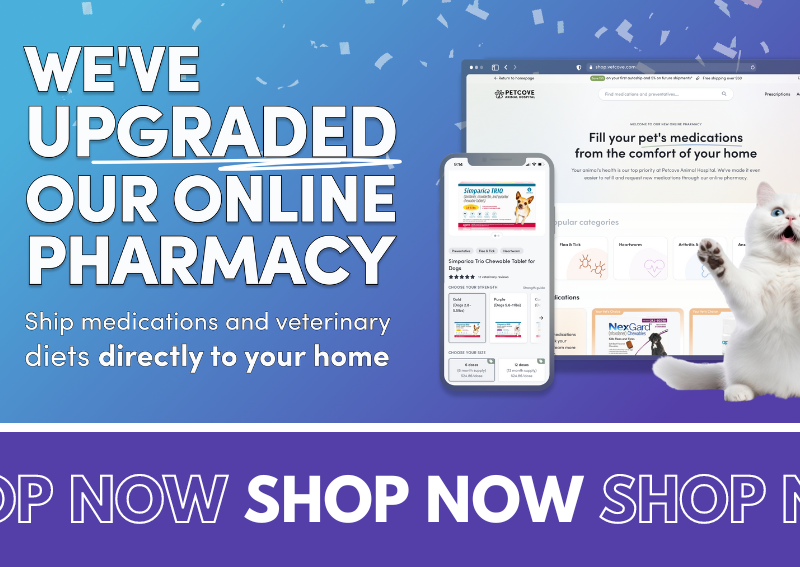 Carousel Slide 2: Shop Our Online Pharmacy!
